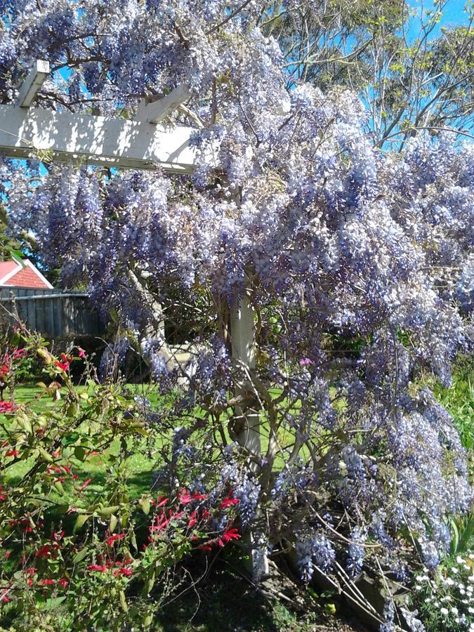 The Old Post Office Guesthouse B&B Paparoa Екстериор снимка